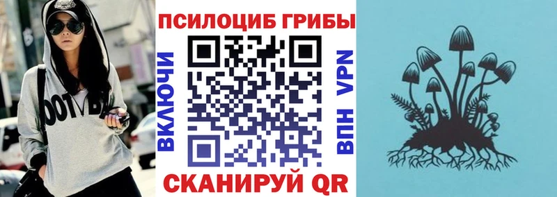 как найти закладки  Тара  Галлюциногенные грибы прущие грибы 